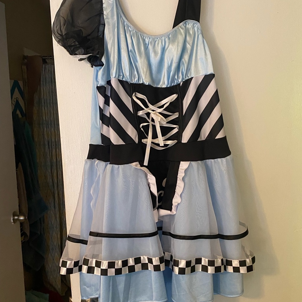 Alice in Wonderland Halloween Costume